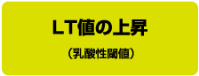 LT値の上昇（乳酸性閾値）