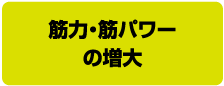 筋力・筋パワーの増大